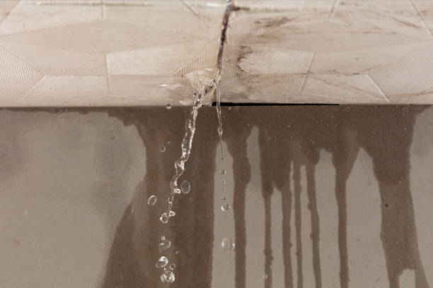 Professional Water Damage Repair technician working in Fentress, TX